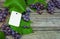 Closeup Paper tag template on grapes. Vine and grapes, leaves on vintage rustic wood