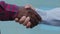 Closeup part of human body two men african and caucasian businessmen shake hands, conclude successful contract agreement