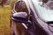 Closeup of a part of a wet car during heavy rain on a blurred autumn natural background