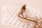 Closeup partly view of shiny saxophone lying on musical notes paper