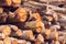 Closeup pattern of cutted and stapled tree trunks viewed from the side