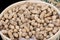 Closeup of peanut, Arachis hypogaea crops filling a bowl