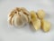 Closeup peeled garlic Allium sativum on a white background