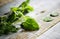 Closeup of Peppermint leaves cooking herb