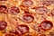 Closeup on pepperoni pizza with salami texture