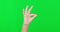Closeup, perfect and hand with okay, green screen and support against a studio background. Zoom, ok gesture and vote