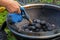 Closeup of a person burning coal on an outdoor grill in a garden