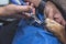 Closeup of a pet groomer uses a pliers-style nail clipper to cut the claws of large dog. At a dog salon or vet clinic