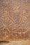 Closeup of the petroglyphs on a canyon wall in Capitol Reef National Park