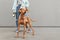 Closeup photo of dog breed magyar vizsla on a leash against the background of a woman`s owner and a gray wall. Portrait of a