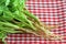 Closeup photo of fresh coriander roots