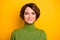 Closeup photo of funny short hairdo lady charming smiling good mood positive person wear casual green turtleneck warm