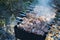 Closeup photo of kebab, which is fried on the grill in the camp at sunset. Smoke rises from the grill