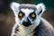 Closeup photo of lemur animal with black nose and orange eyes. Generate ai