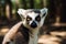 Closeup photo of lemur animal in wild forest. Generate ai