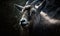 closeup photo of markhor Capra falconeri on blurry rocky outdoors background. Generative AI