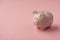 Closeup photo of piggy bank on isolated pink background with copyspace