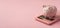 Closeup photo of piggy bank on pink calculator isolated pink background with copyspace