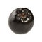 Closeup photo - single aronia chokeberry fruit isolated on whi