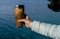 Closeup photo of thermos mug with tea in traveler`s hand over se