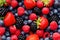 Closeup photo of wild berries strawberries, raspberries, blackberries, blueberries