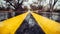 Closeup photo of yellow marking lane on wet asphalt road in forest.