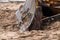 Closeup photograph of the blade of an old large industrial yellow bulldozer machine weathered, rusty and worn sitting on a sandy