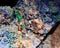 Closeup photograph of malachite and azurite mineral s