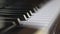 closeup of piano black and white keys wooden keyboard in motion