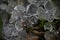 Closeup picture from hail over grass