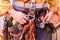 Closeup picture of male rope access worker hand wearing full safety harness clipping carabiner on a chair into harness loop