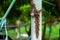 Closeup picture of rusted lock and chain on the steel column with blurred bokeh background