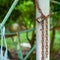 Closeup picture of rusted lock and chain on the steel column with blurred bokeh background. Love and commitment concept