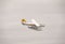 Closeup picture of a seaplane flying over the sky