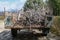 Closeup picture of a working truck full of dry twigs