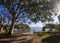 Closeup of picturesque trees growing on the lakeshore