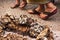 Closeup of pieces of waspâ€™s nest laying on the ground at the daily market of Luang Prabang, Laos