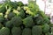 Closeup of the pile of broccoli on the market,Fresh, healthy, organic vegetables such as broccoli for sale at a farmer`s marke at