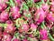 Closeup pile of dragon fruit ,healthy fruit textured background