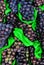 Closeup of a pile of grapes background