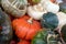 Closeup of a pile of holiday pumpkins of different sizes