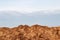 Closeup of a pile of horse dung in the field from the stables of the nearby horse farm in front of light blue cloudy sky. Macro