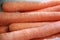 Closeup of a pile of long fresh carrots