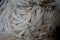 Closeup of a pile of newly-sheared white sheep wool