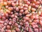 Closeup pile of red grape on tray textured background