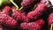 Closeup of pile of ripe mulberries with leaf