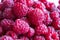 Closeup of a pile of ripe raspberries