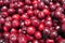 Closeup of a pile of ripe red cherries