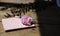 Closeup of pink carnation flower on notebook on wooden table