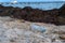 Closeup of plastic bottle laying on a beach surrounded by seaweed